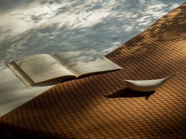 生命之树 · 静享生命的律动